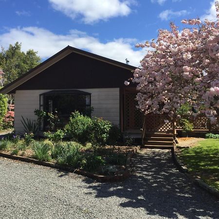 Chris'S Cabin Greytown Exterior photo
