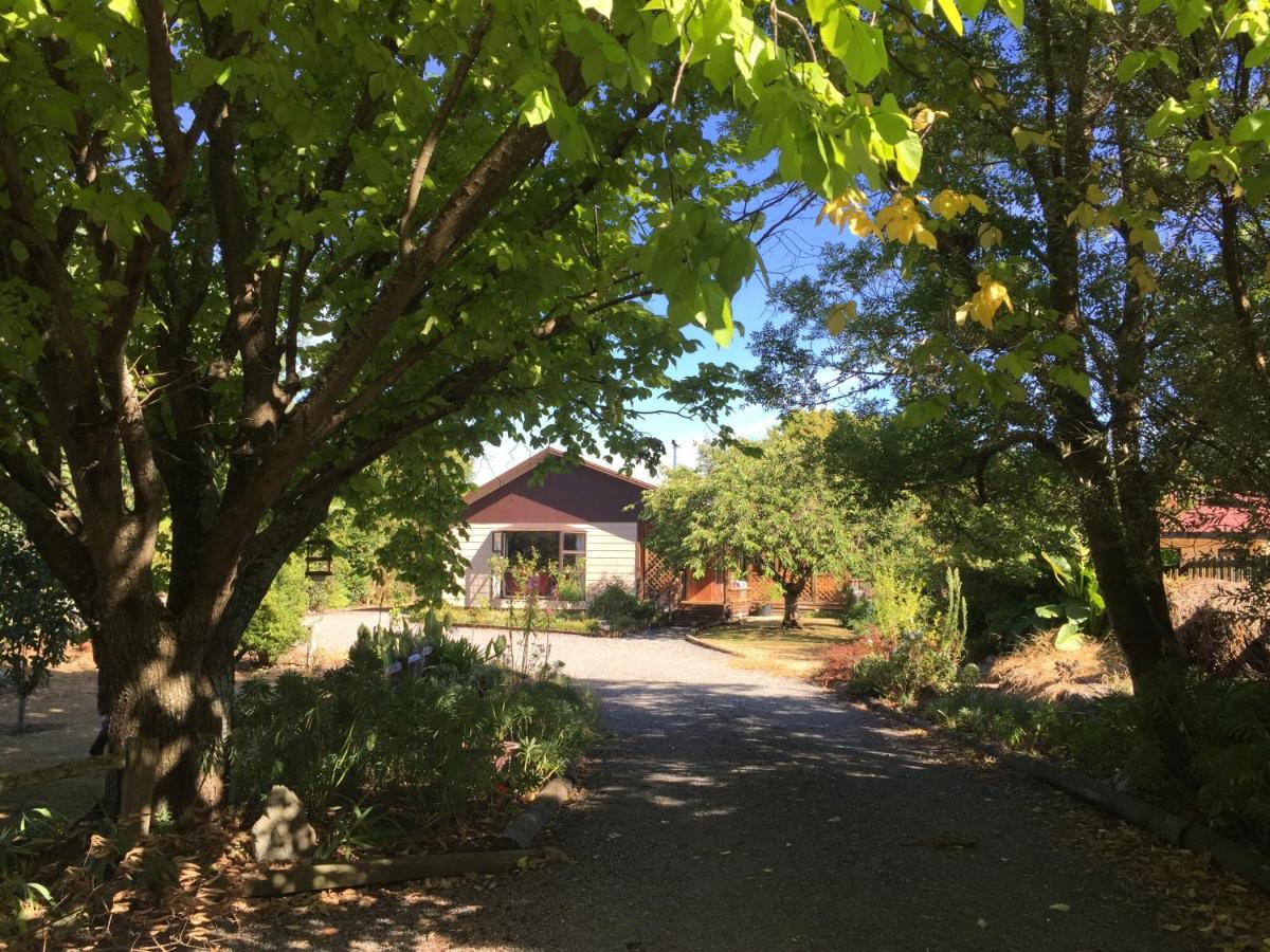 Chris'S Cabin Greytown Exterior photo
